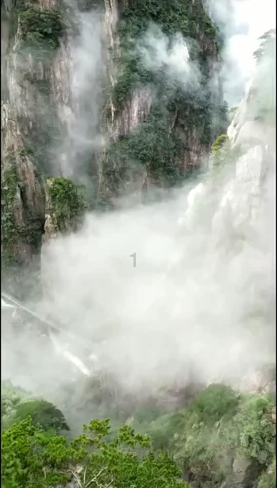 救援青龙